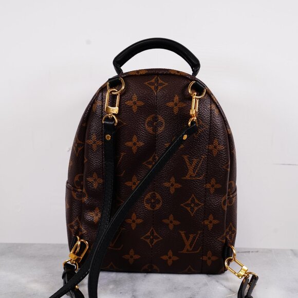 Louis Vuitton Mini Palm Springs Backpack Monogram - Picture 2 of 5